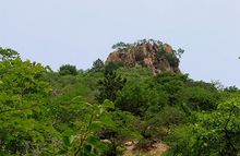 金华山景区