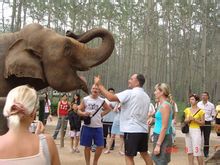 游客在喂大象吃东西